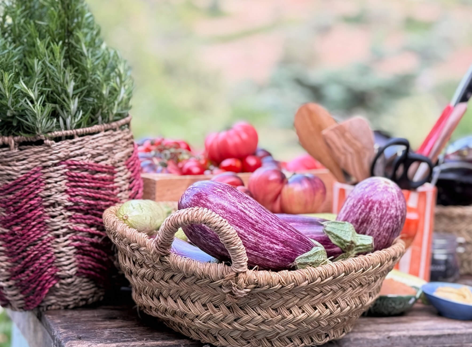 Afbeelding blog Smokey Misogratins 3